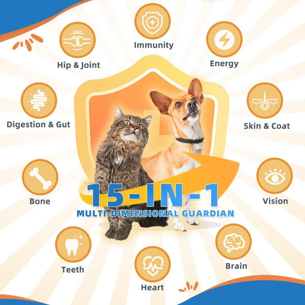 Boost Your Dog's Health with a Multivitamin