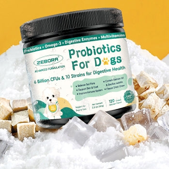 Signs Your Dog Might Need Probiotics and How to Choose the Right One